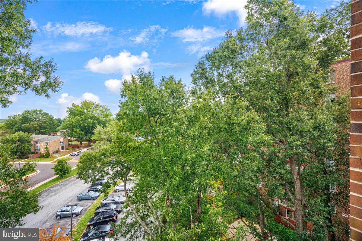 10850 Green Mountain Cir #518 Property Photo 24