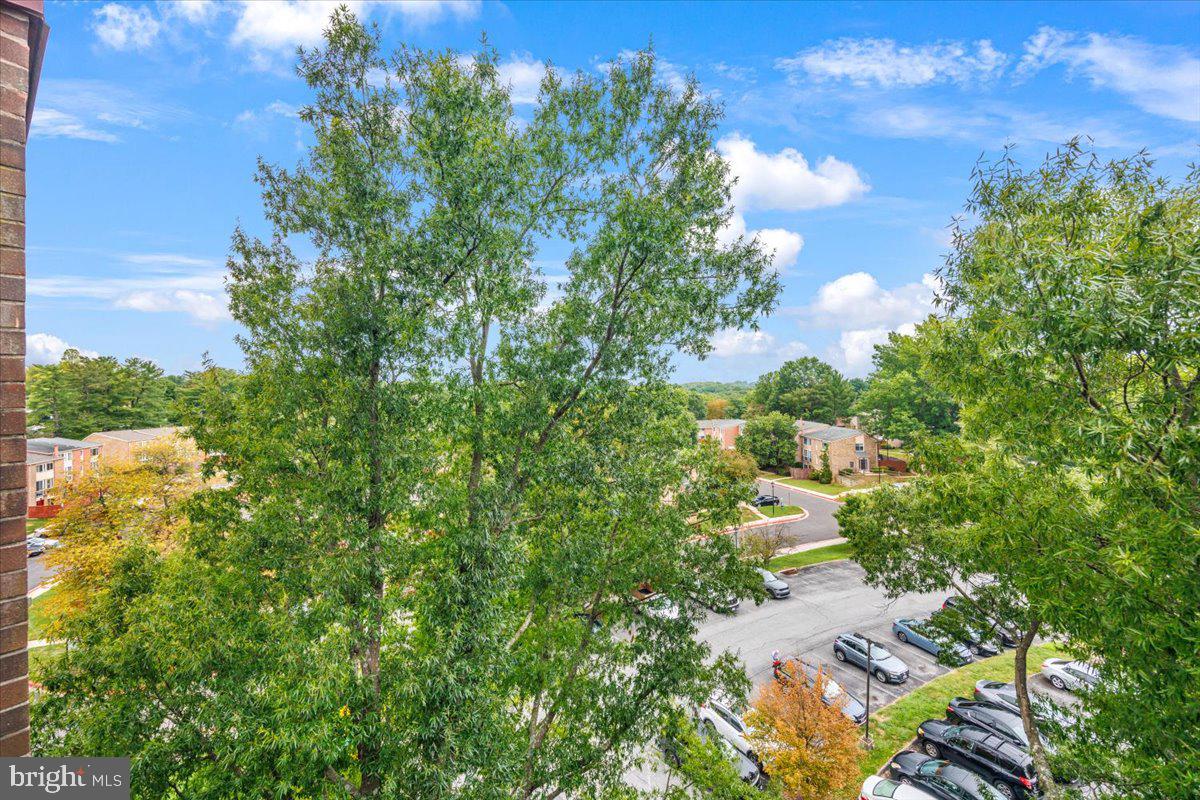 10850 Green Mountain Cir #518 Property Photo 25