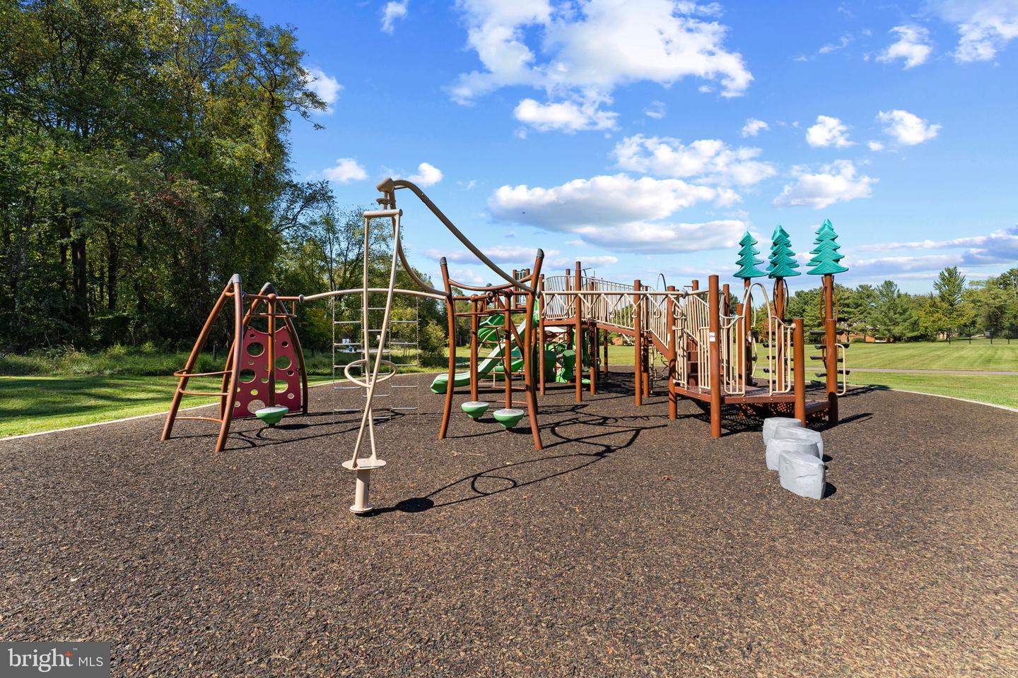 9707 Early Spring Way Property Photo 35