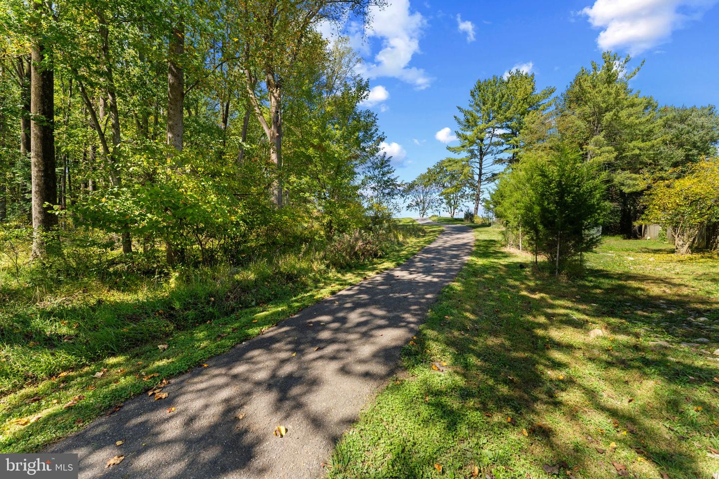9707 Early Spring Way Property Photo 37