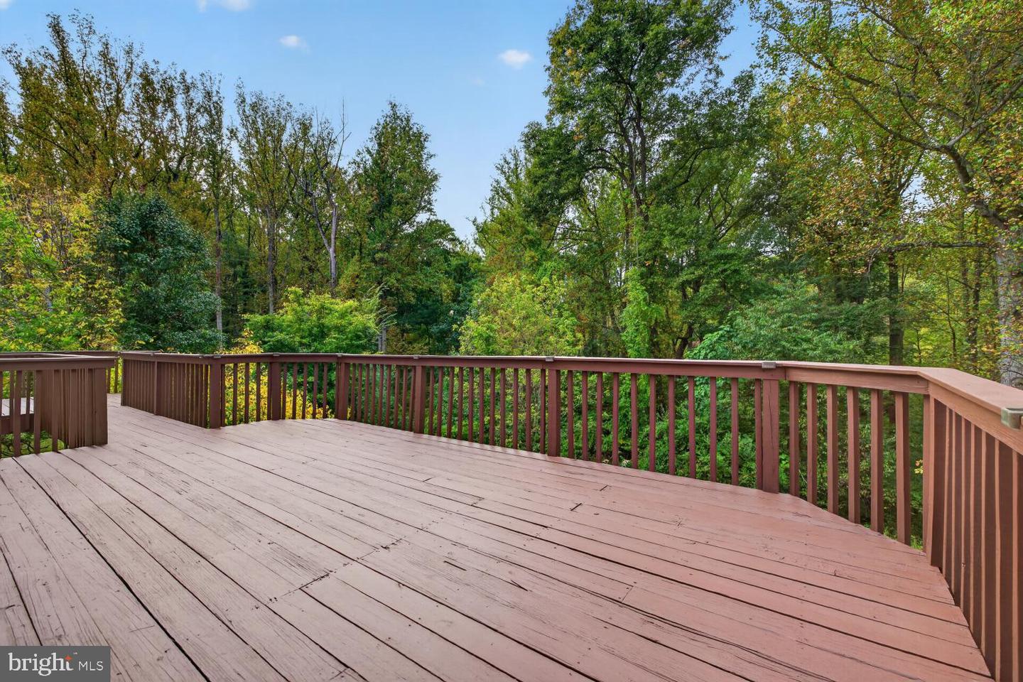 12114 Blue Flag Way Property Photo 50