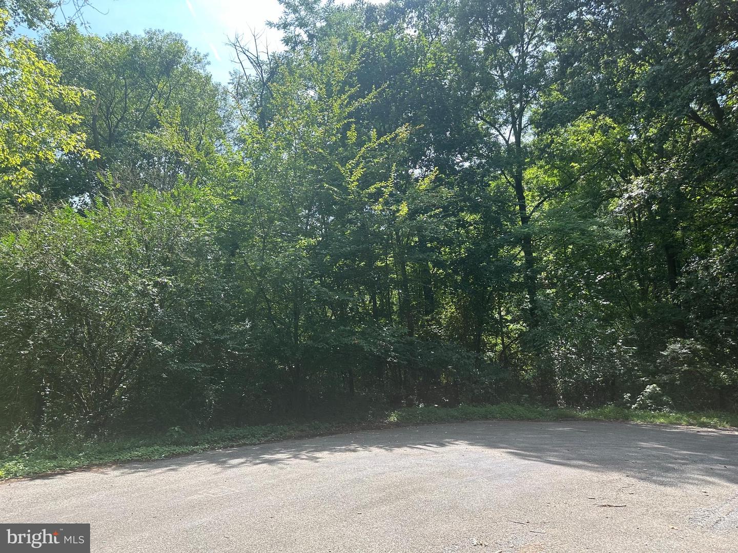 25619 W Hill Rd Property Photo 3