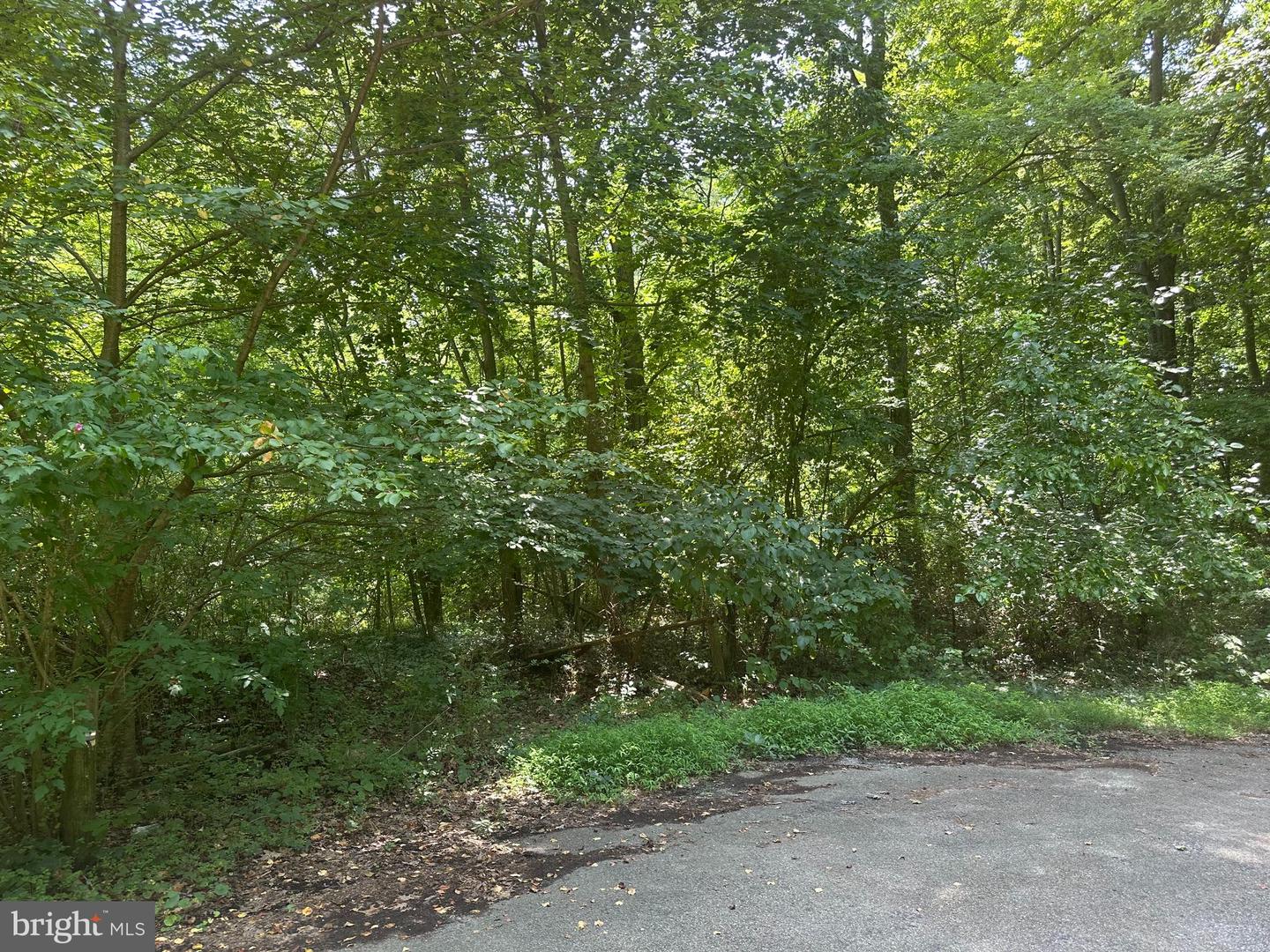 25619 W Hill Rd Property Photo 4