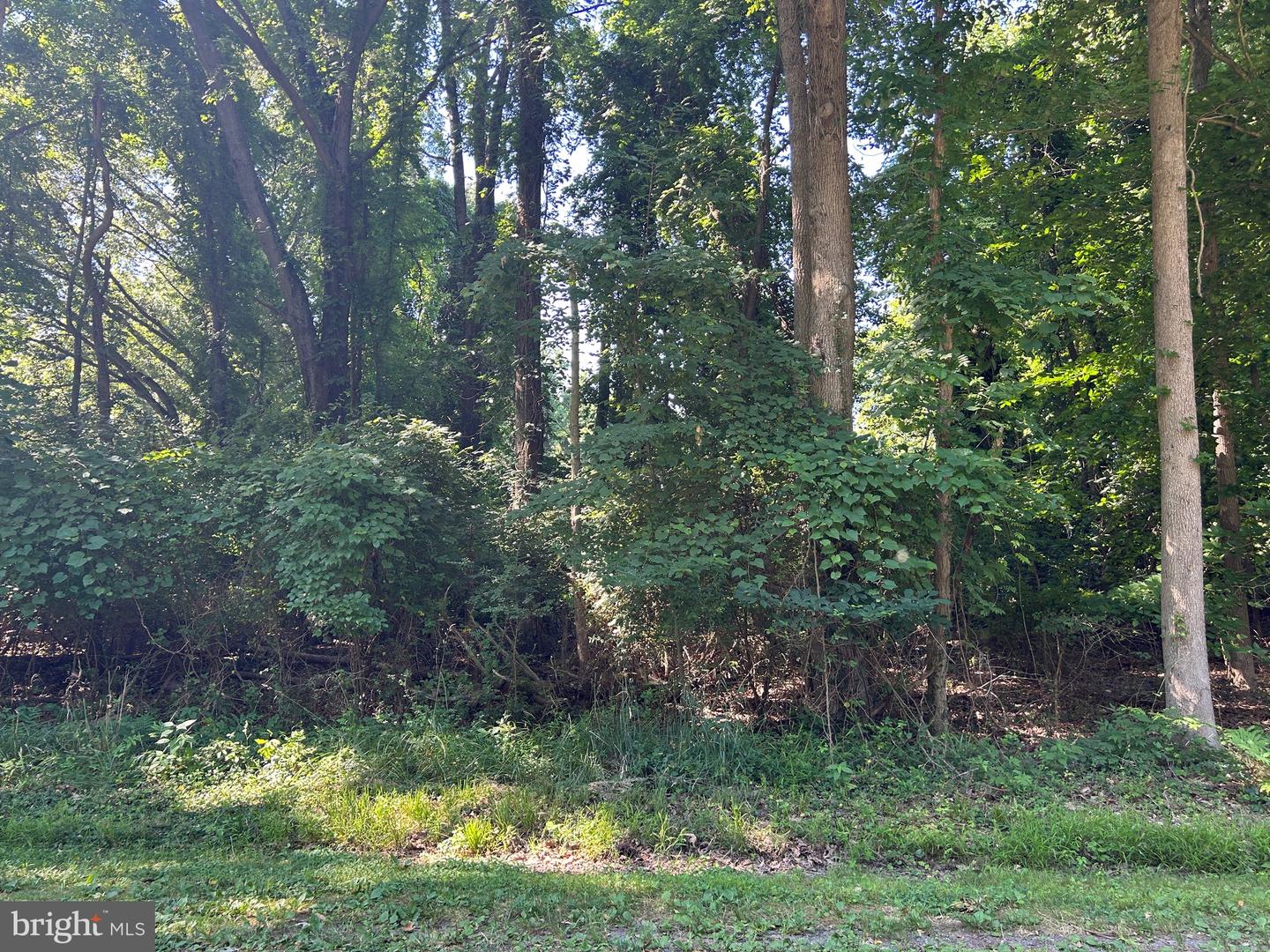 Montgomery Ave Property Photo 1