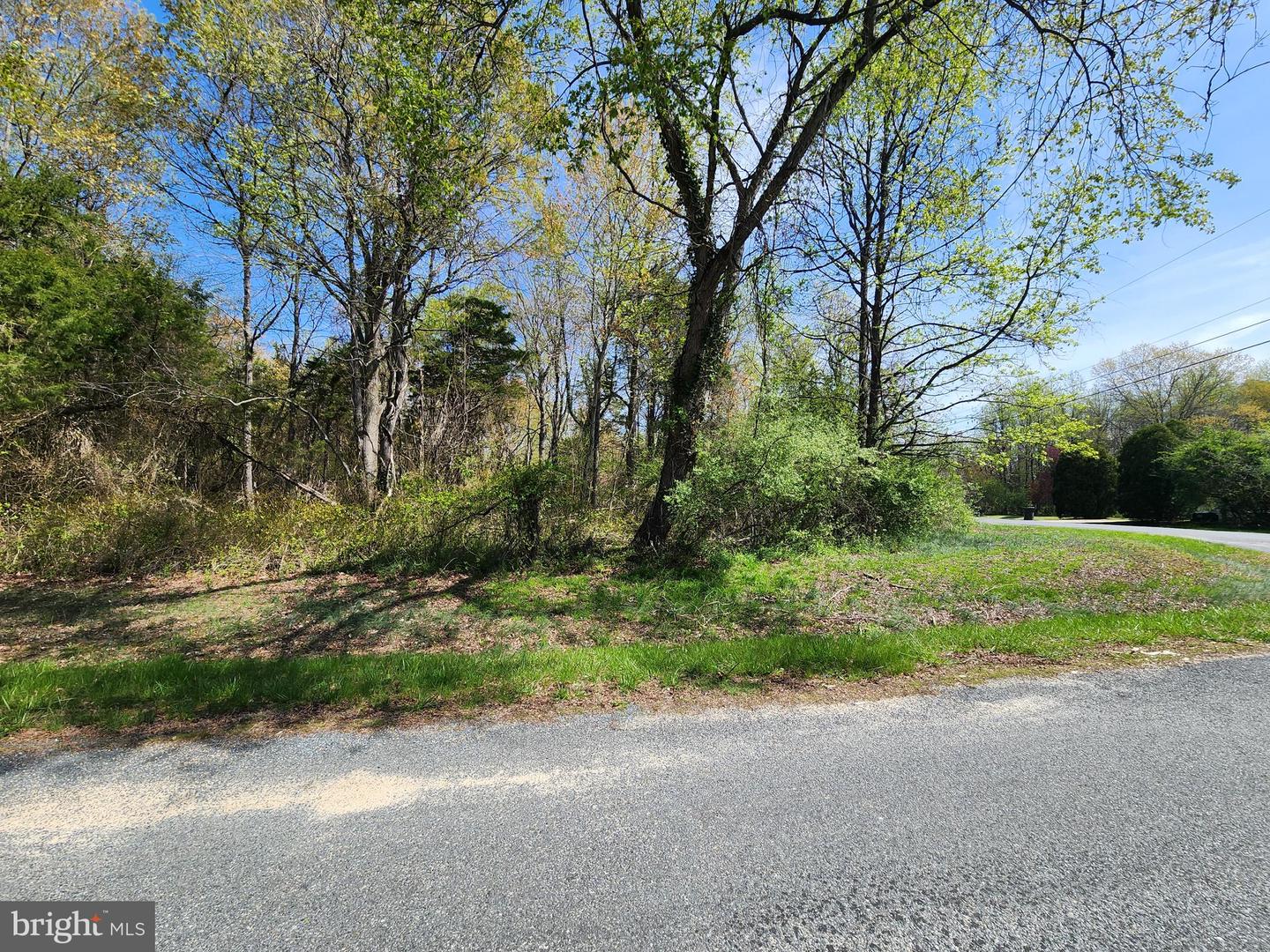 Beltram Rd Property Photo 2