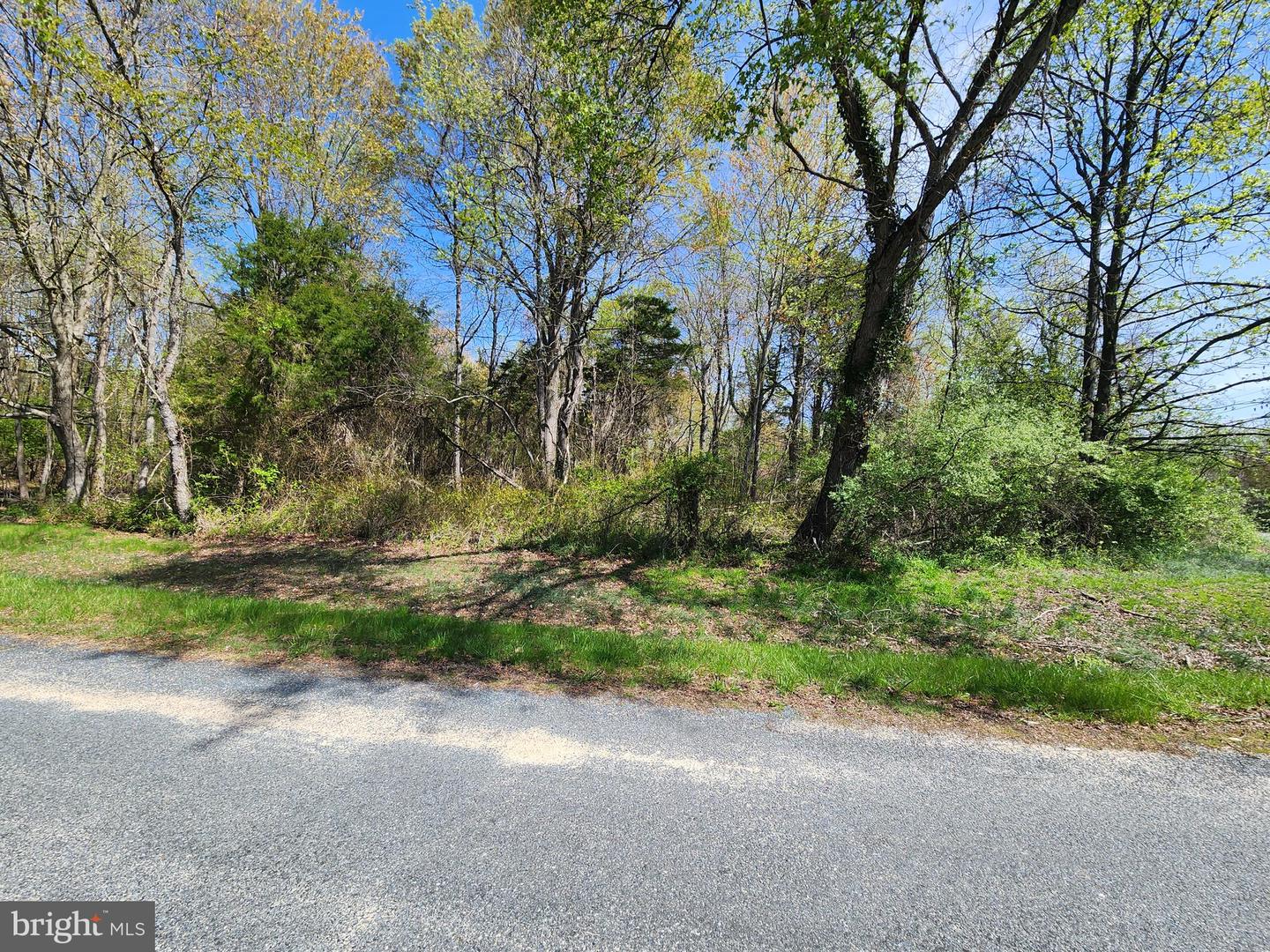 Beltram Rd Property Photo 3