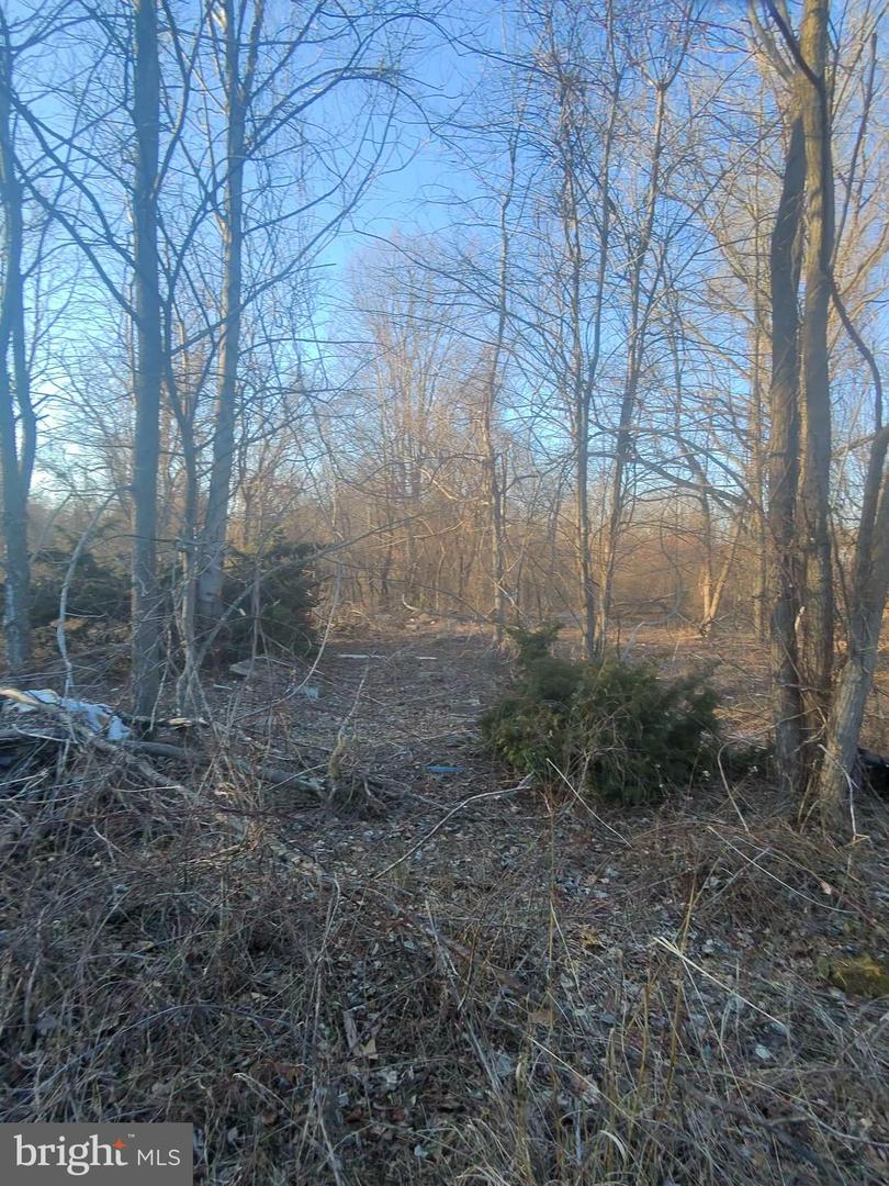 31612 Olivet Cir Property Photo