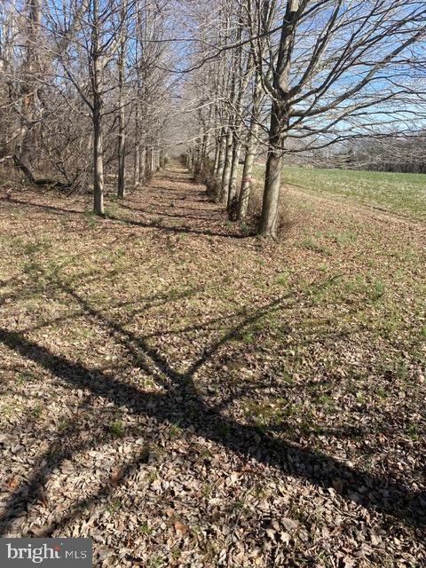 Walnut Point Road Property Photo 8