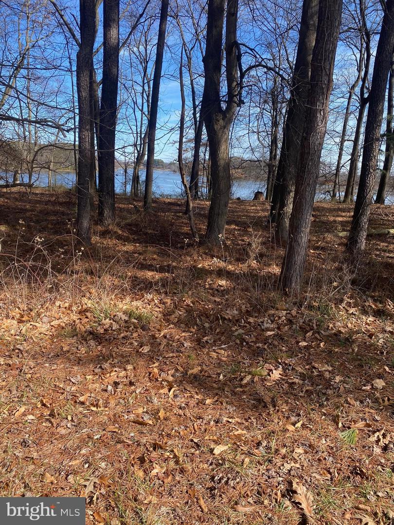Walnut Point Road Property Photo 10
