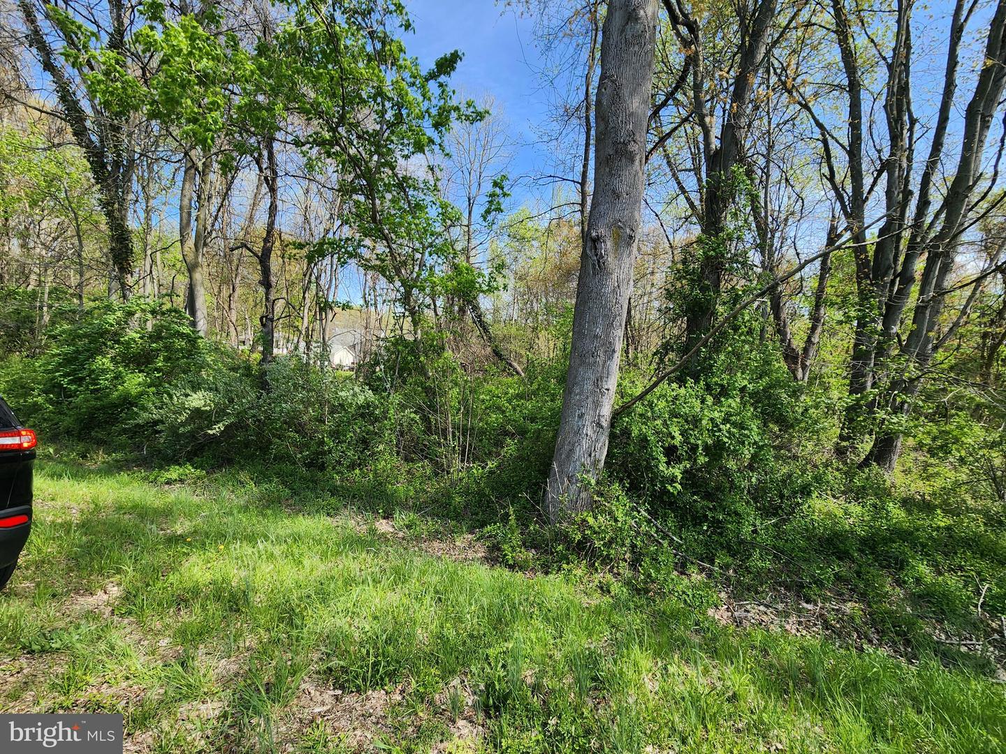 Towhee Rd Property Photo 3