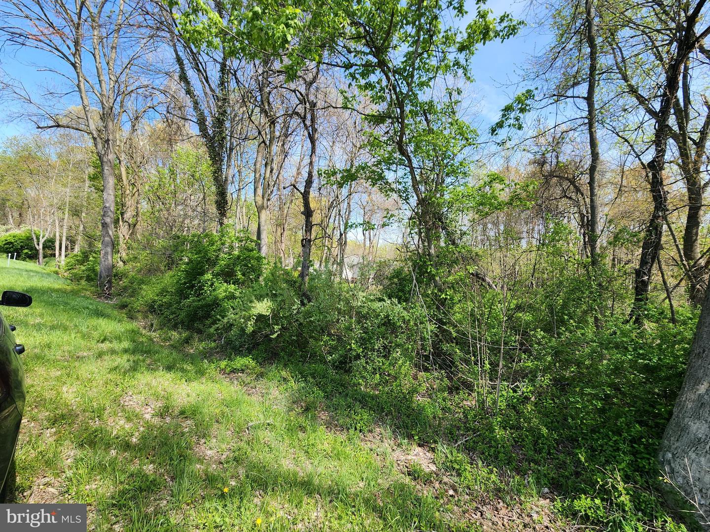 Towhee Rd Property Photo 4