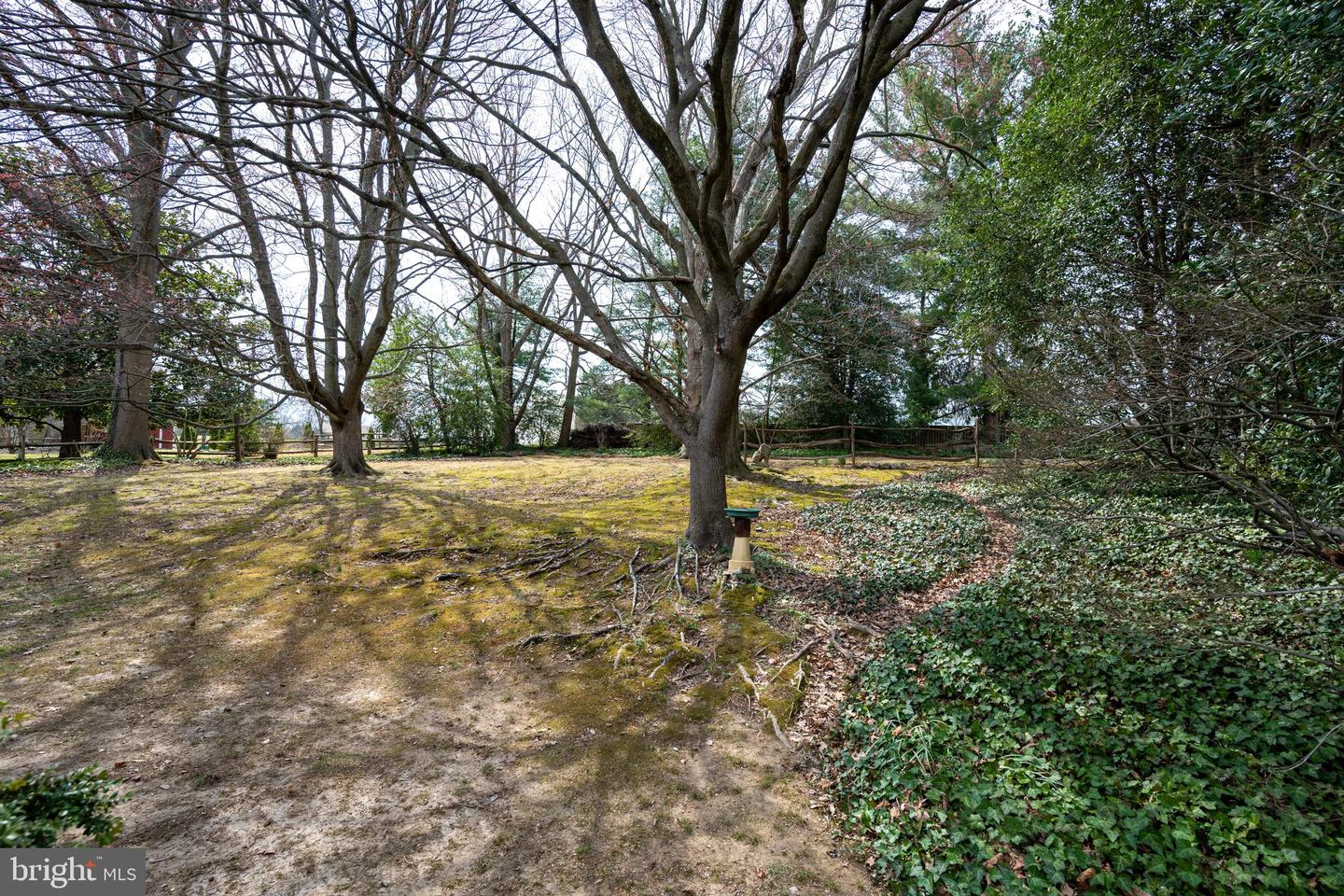 306 Cedar St Property Photo 8