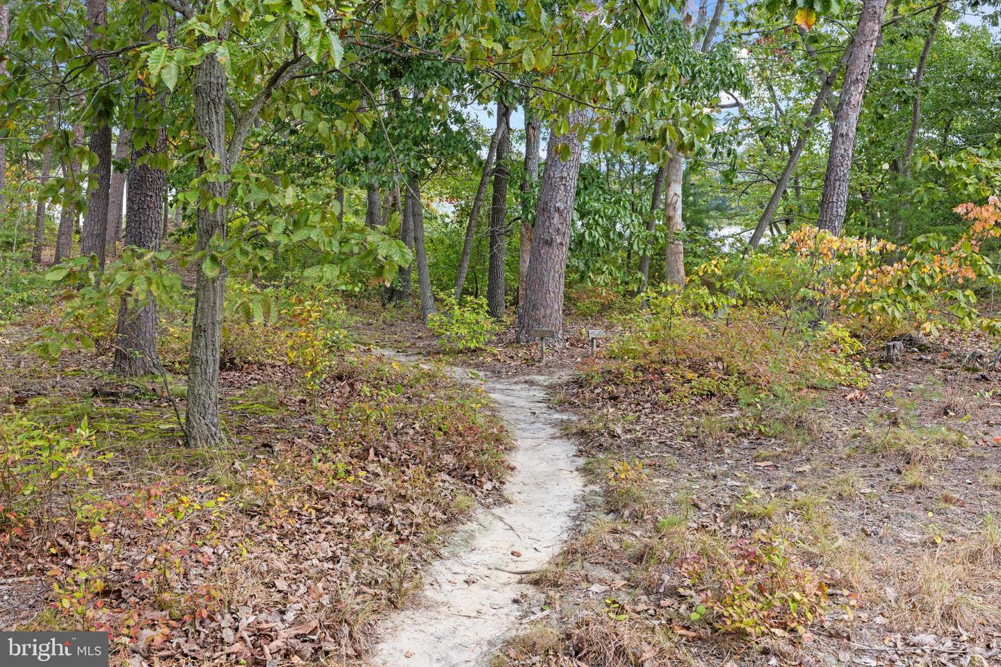 6581 Elizabeths Ln Property Photo 61