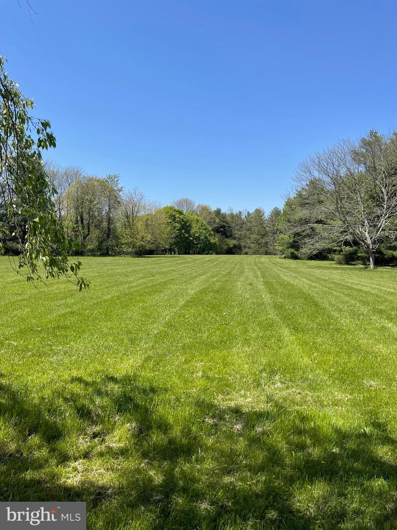 14134 Cornus Ct Property Photo 1