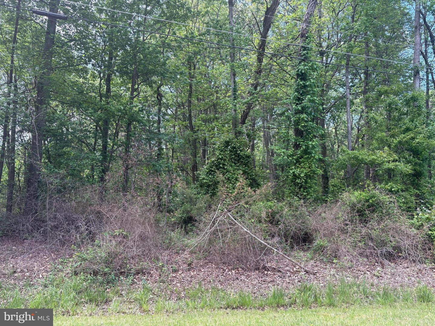 LENAPAH RD Property Photo 1