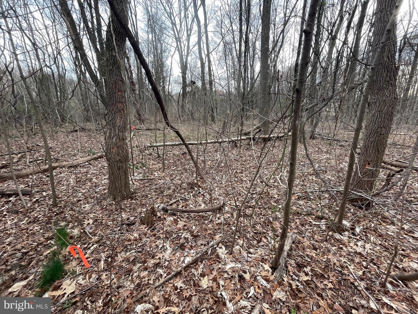 Georgetown Rd Property Photo 1
