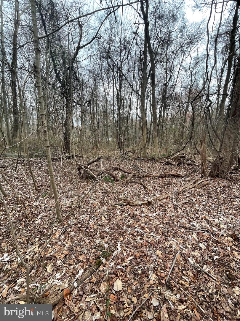 Georgetown Rd Property Photo 3