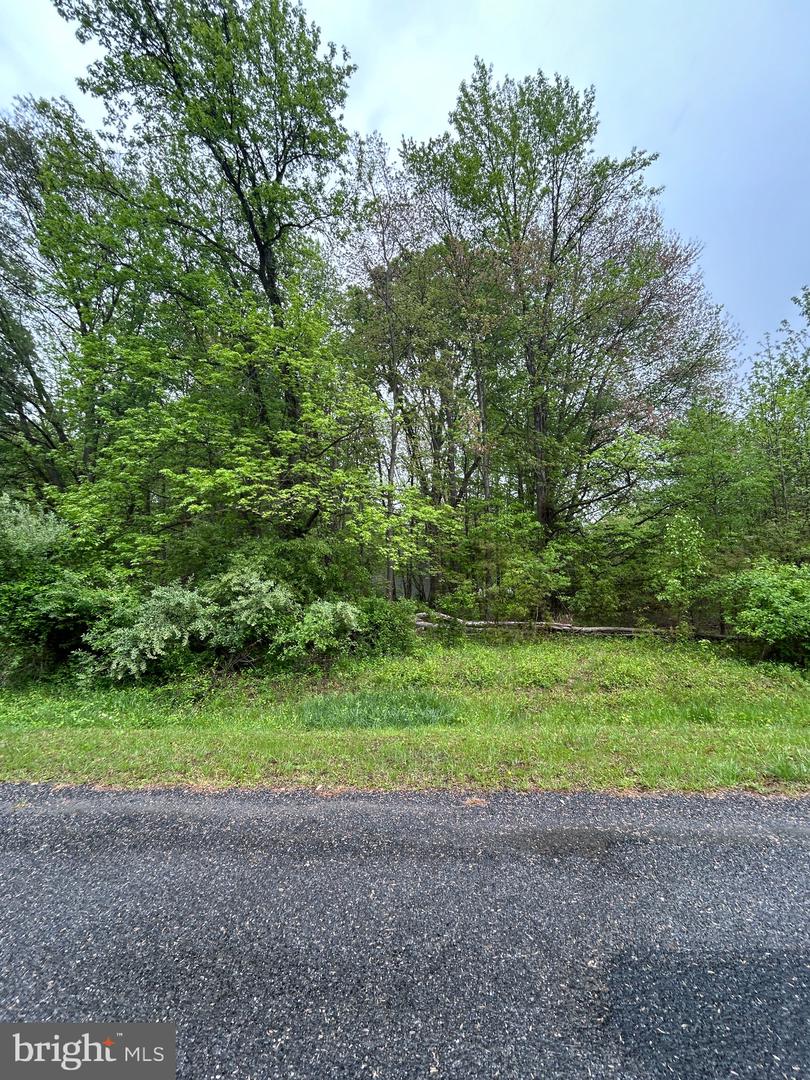 Kinglet Rd Property Photo 2