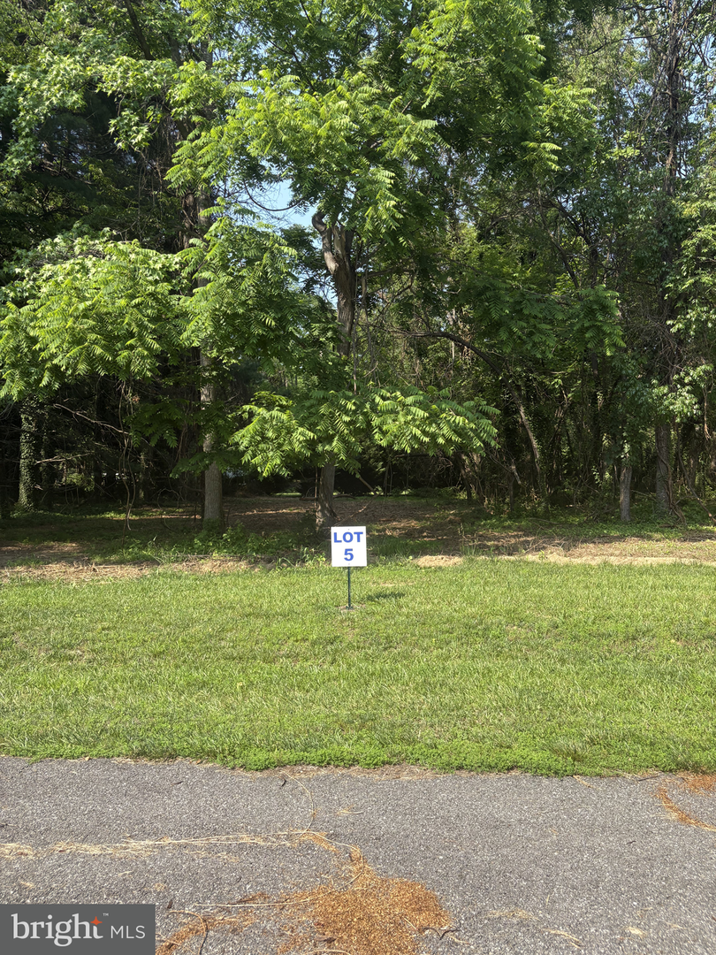 5 Wilson Point Rd Property Photo 1