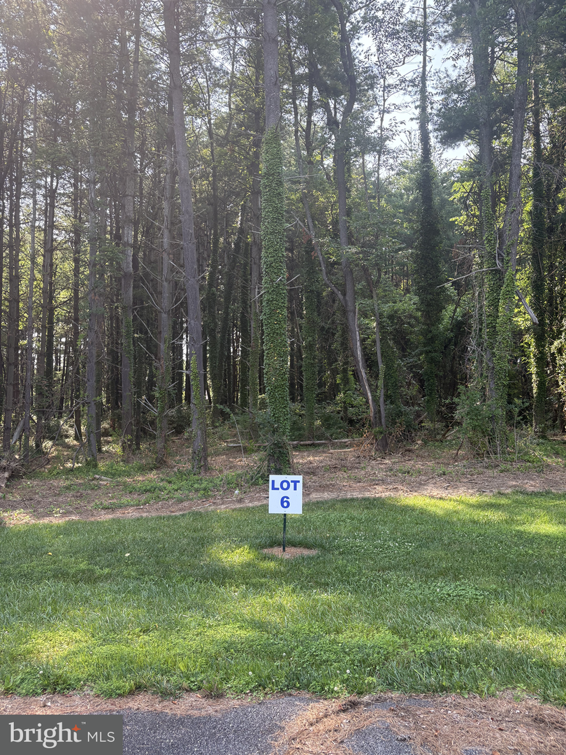 6 Wilson Point Rd Property Photo 1
