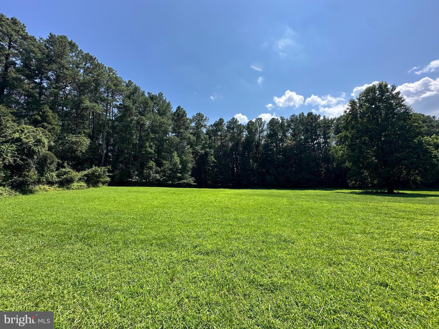 14200 Metasequoia Ct Property Photo 7