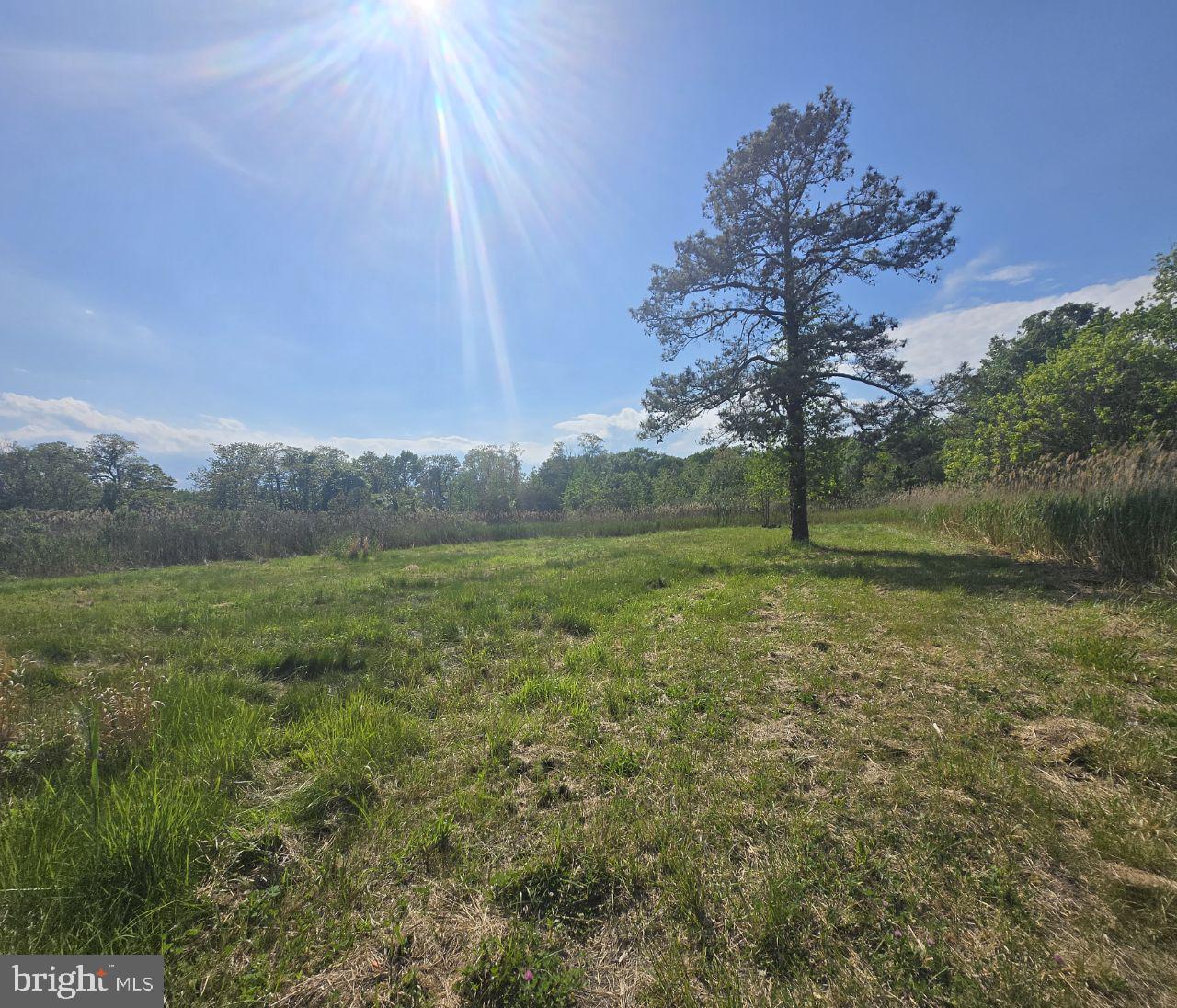 5120 Eastern Neck Rd Property Photo 2
