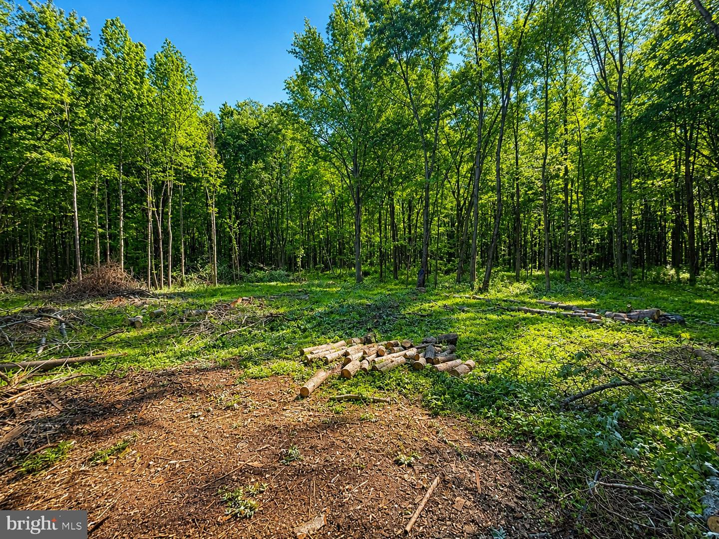 Sandy Bottom Rd Property Photo 1