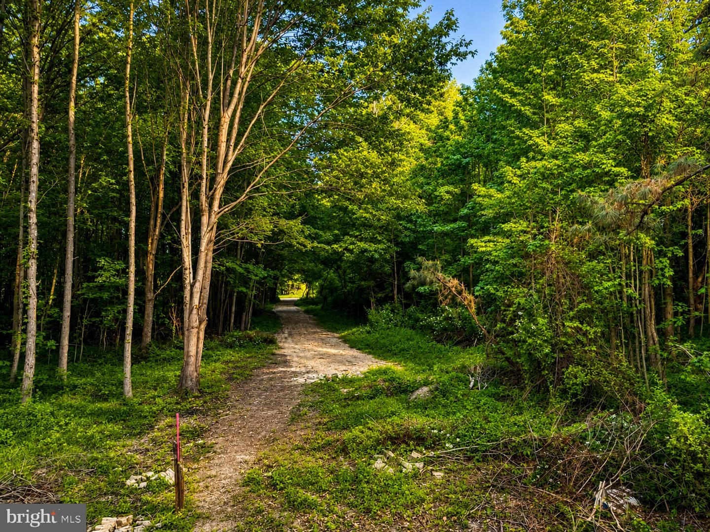 Sandy Bottom Rd Property Photo 6