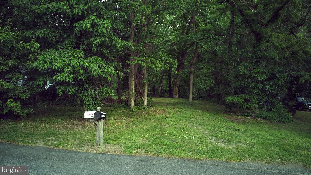 River Bend Ln Property Photo 7