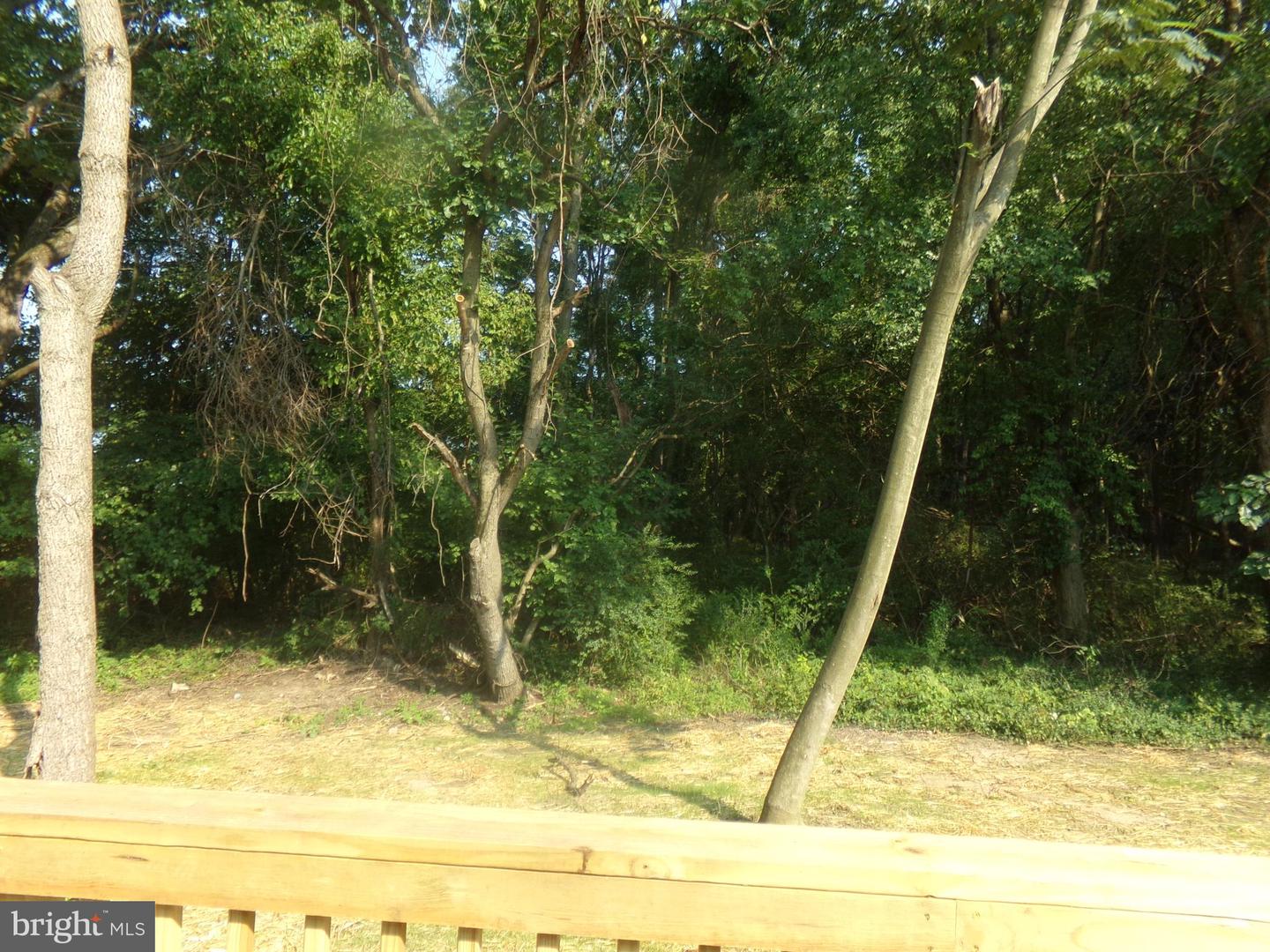 11035 Bottom Rd Property Photo 22