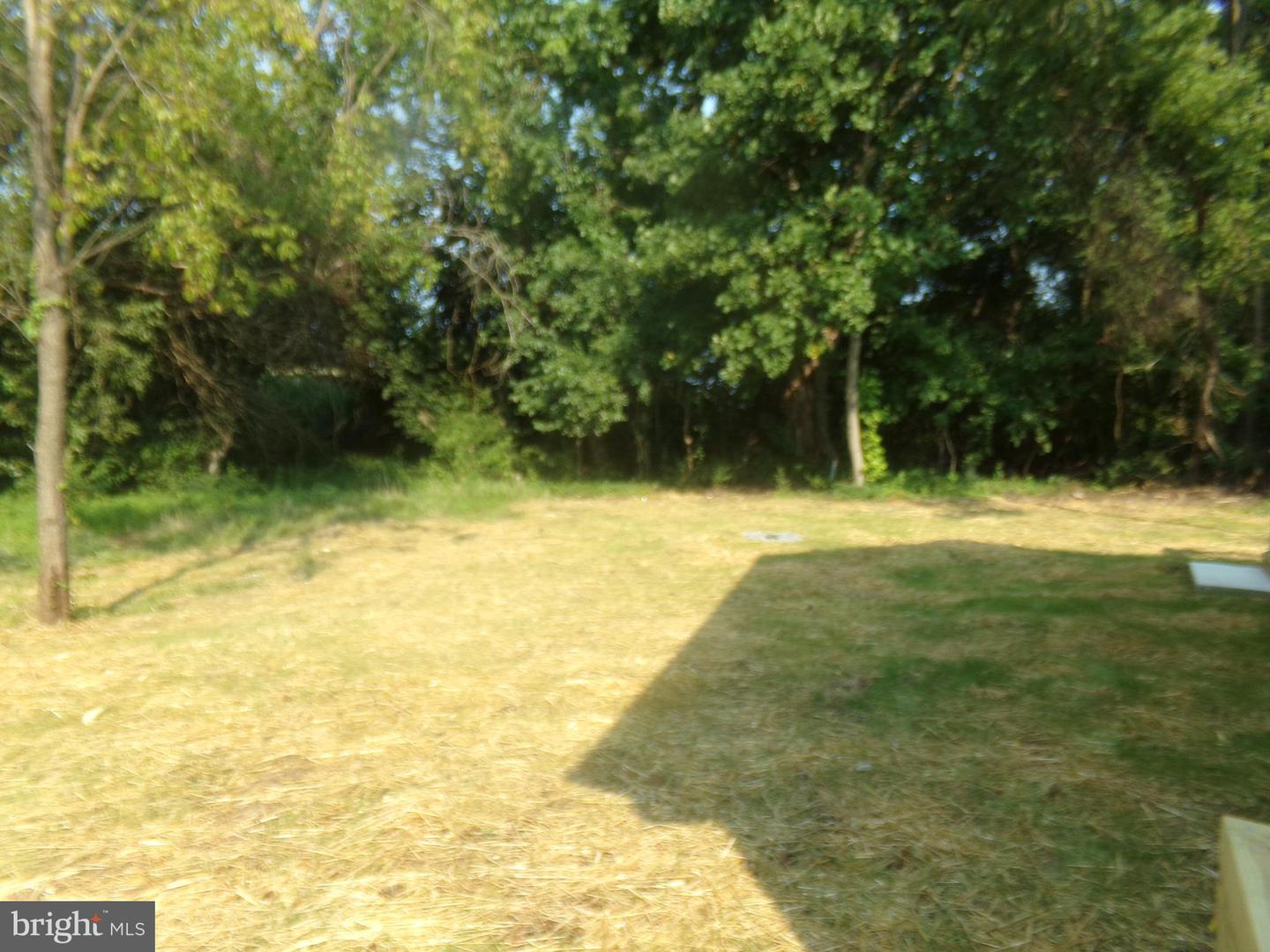 11035 Bottom Rd Property Photo 24