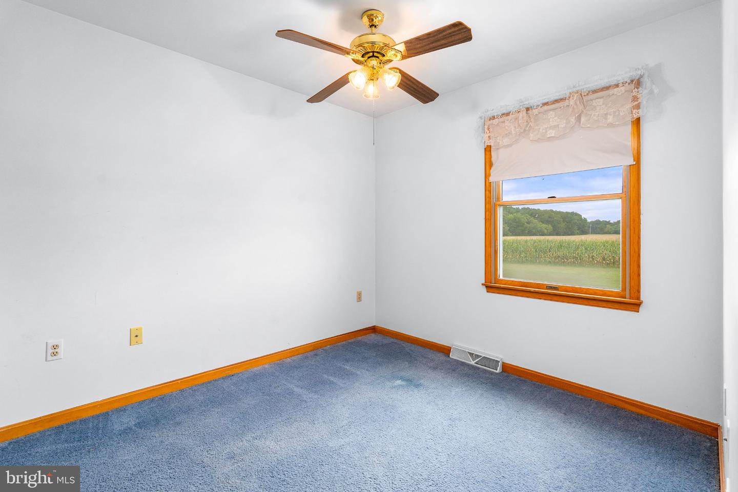 206 Maplewood Ln Property Photo 22