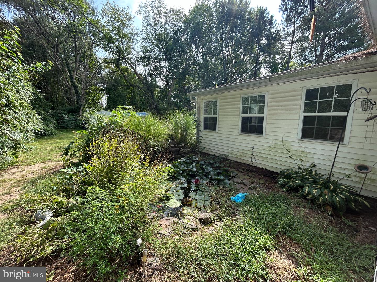 223 Mount Vernon Ave Property Photo 17