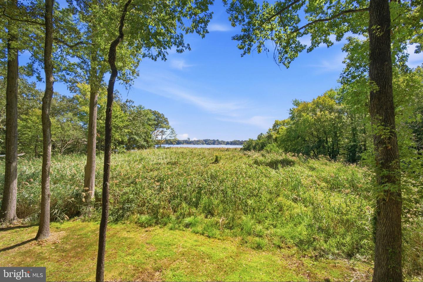 10 Cedar Chase Ct Property Photo 29