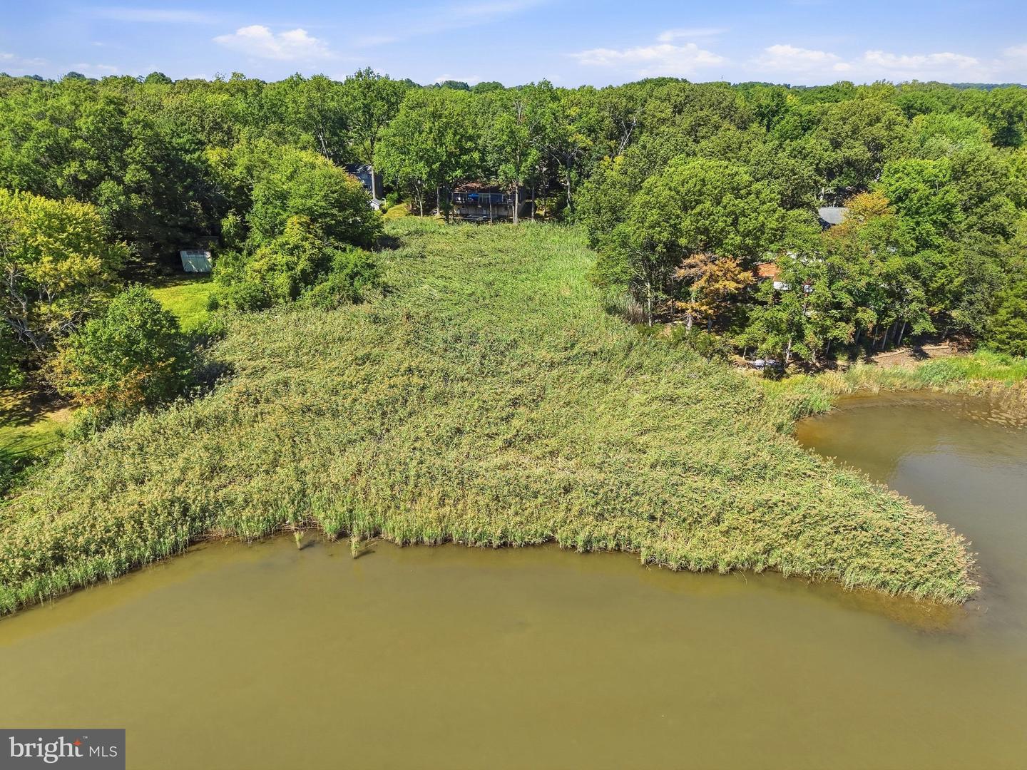 10 Cedar Chase Ct Property Photo 31
