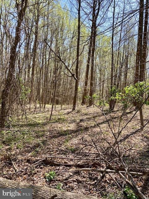 19230 Chandlee Mill Rd Property Photo 1