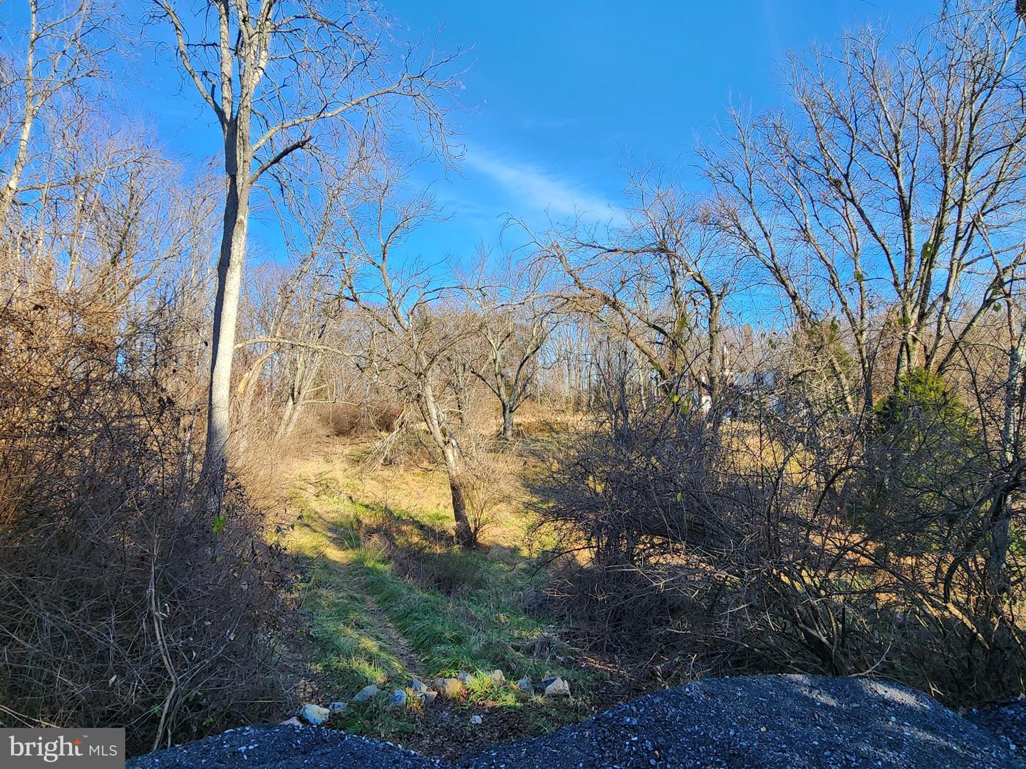 3721 Tolson Pl Property Photo 9