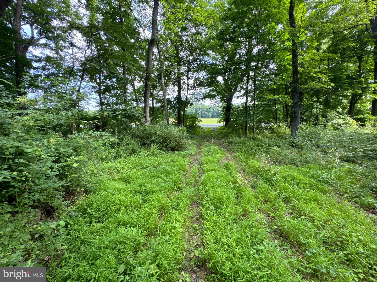 3720 Damascus Rd Property Photo
