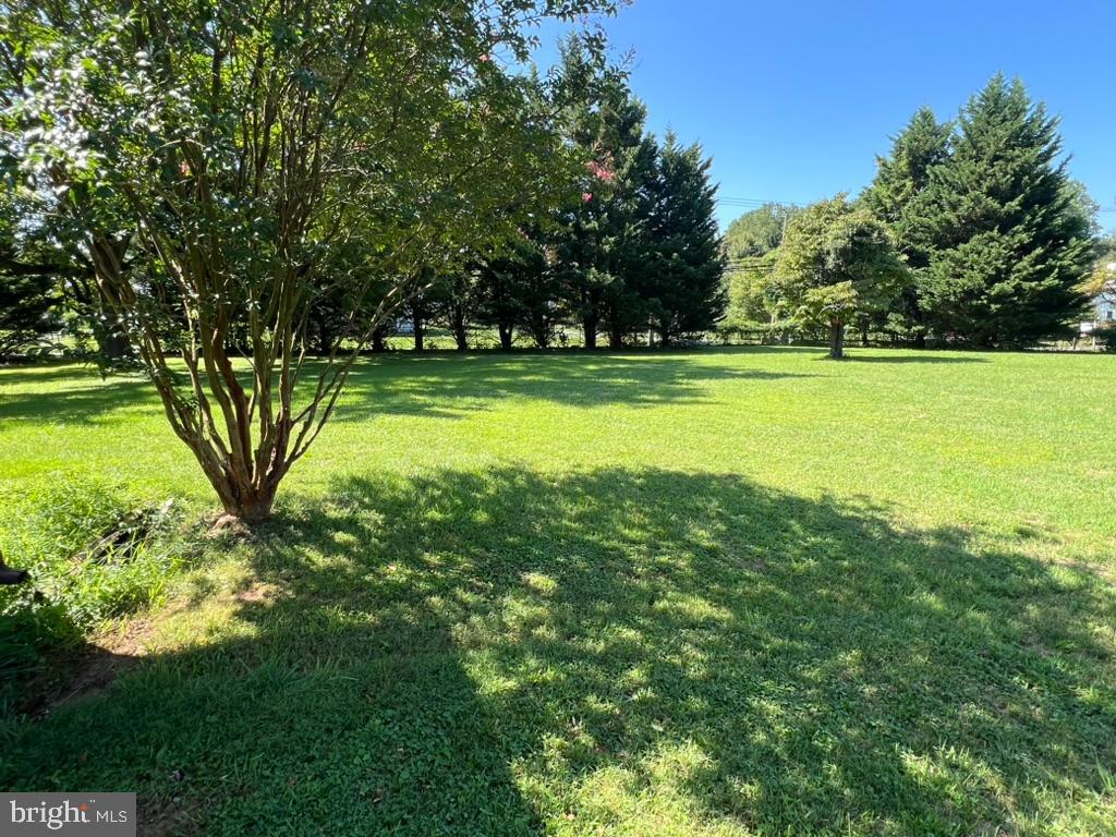 13719 Notley Rd Property Photo 4