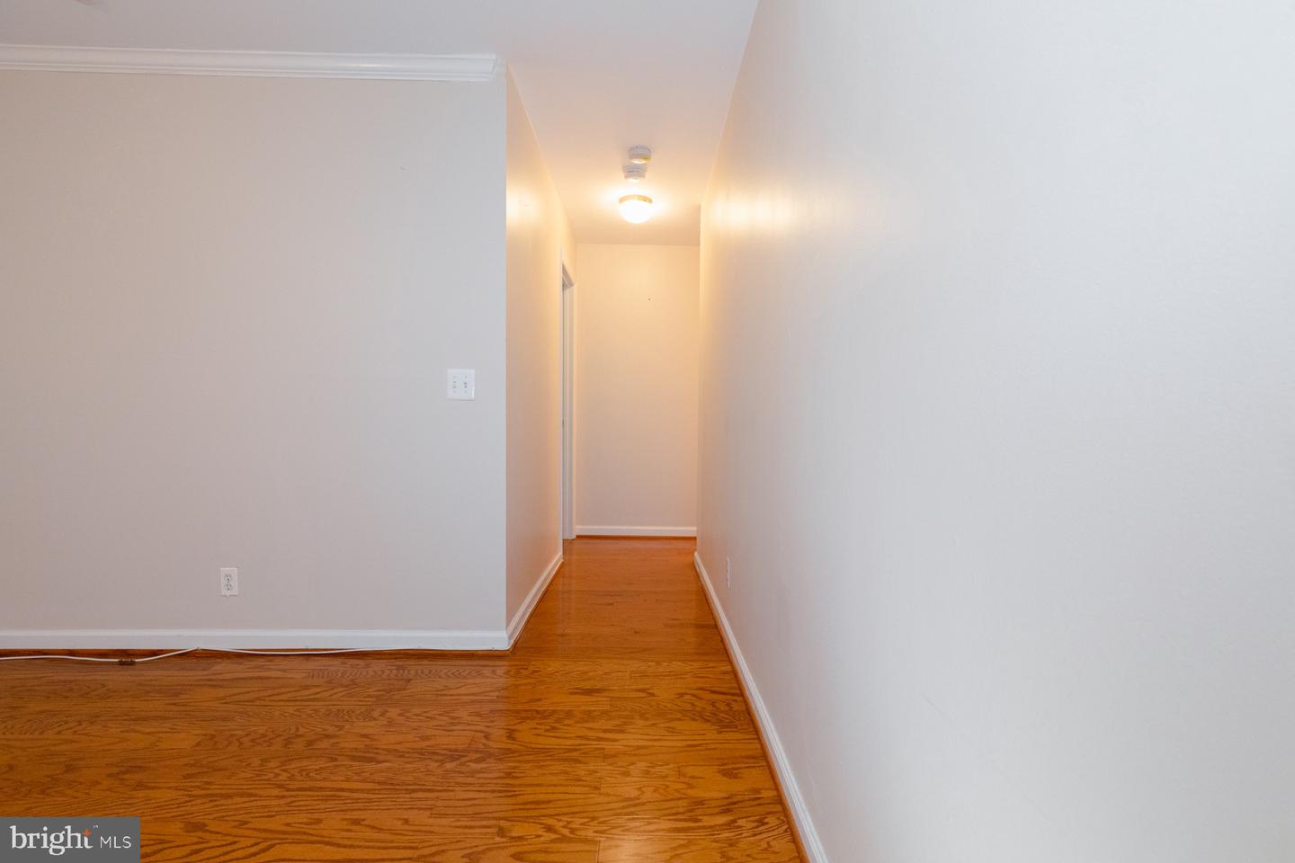 10823 Hampton Mill Terrace #140 Property Photo 10