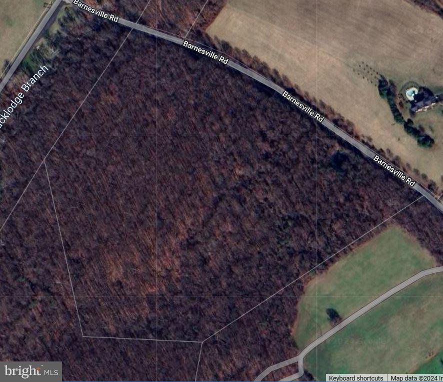 Barnesville Property Photo