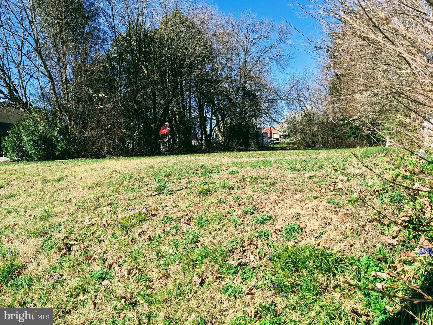 26530 Ridge Rd Property Photo 6