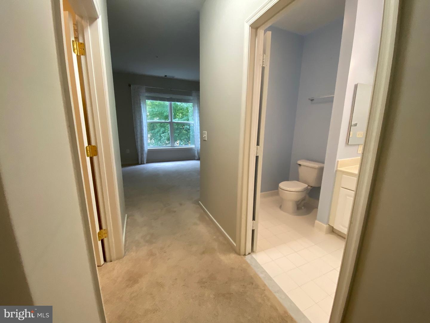 8045 Newell St #102 Property Photo 21