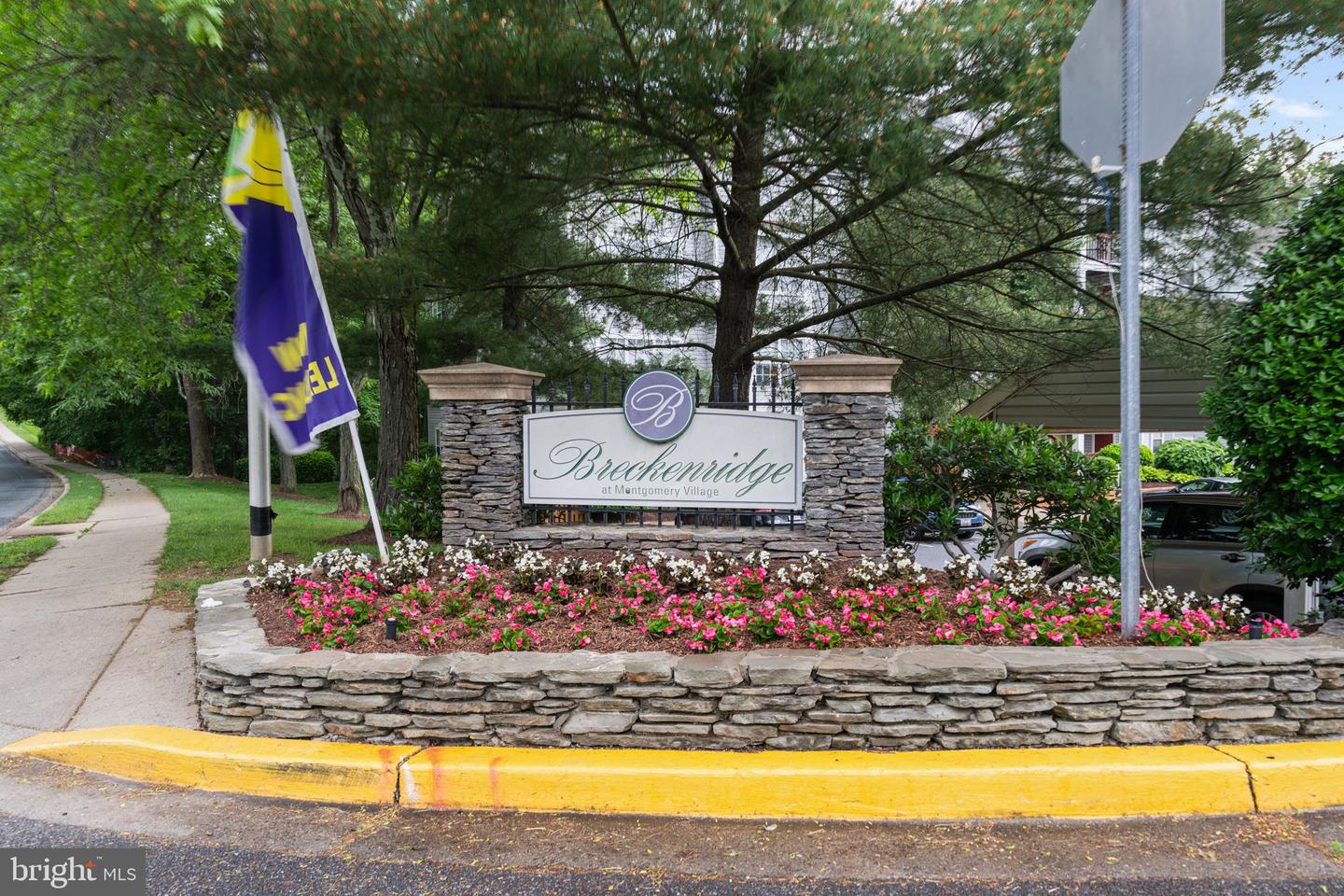 18503 Boysenberry Dr #128-88 Property Photo 31
