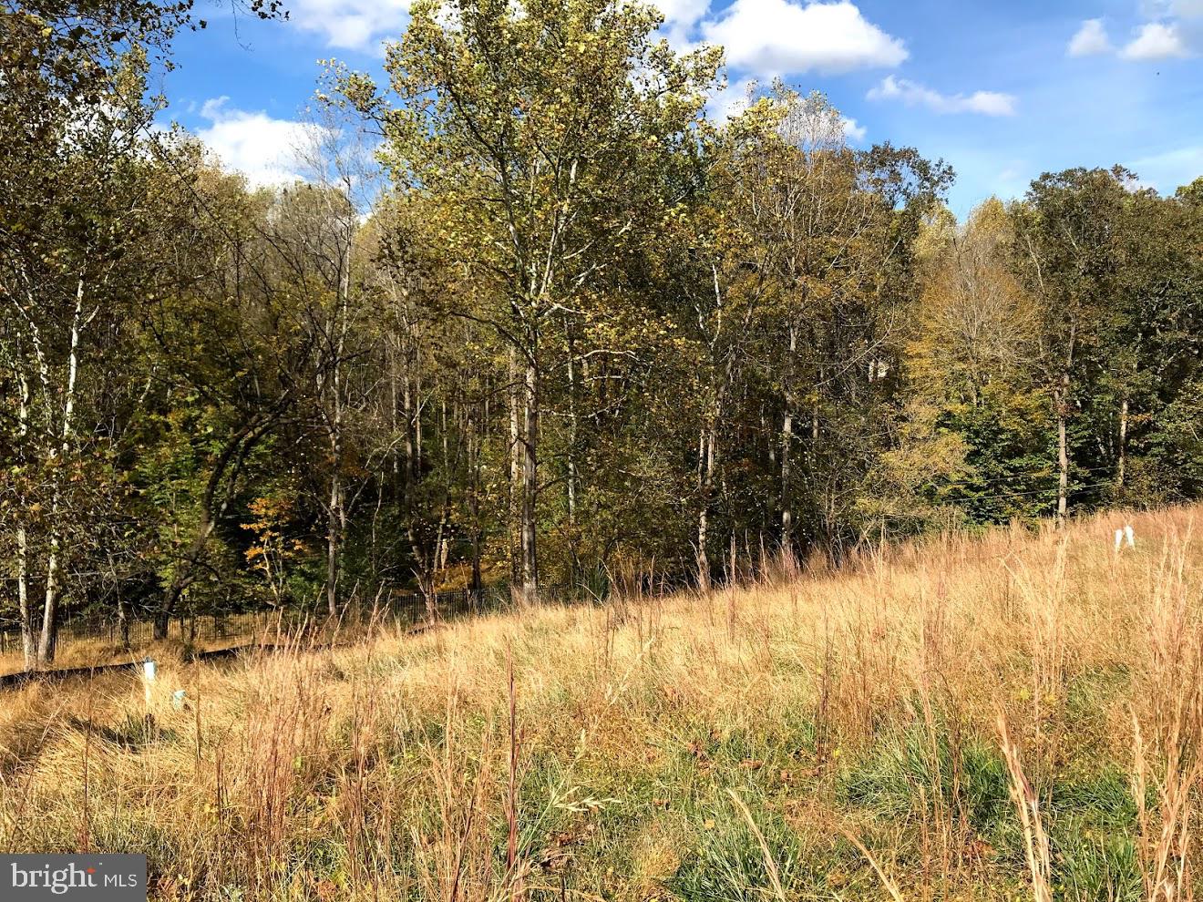 13223 QUERY MILL RD Property Photo 1