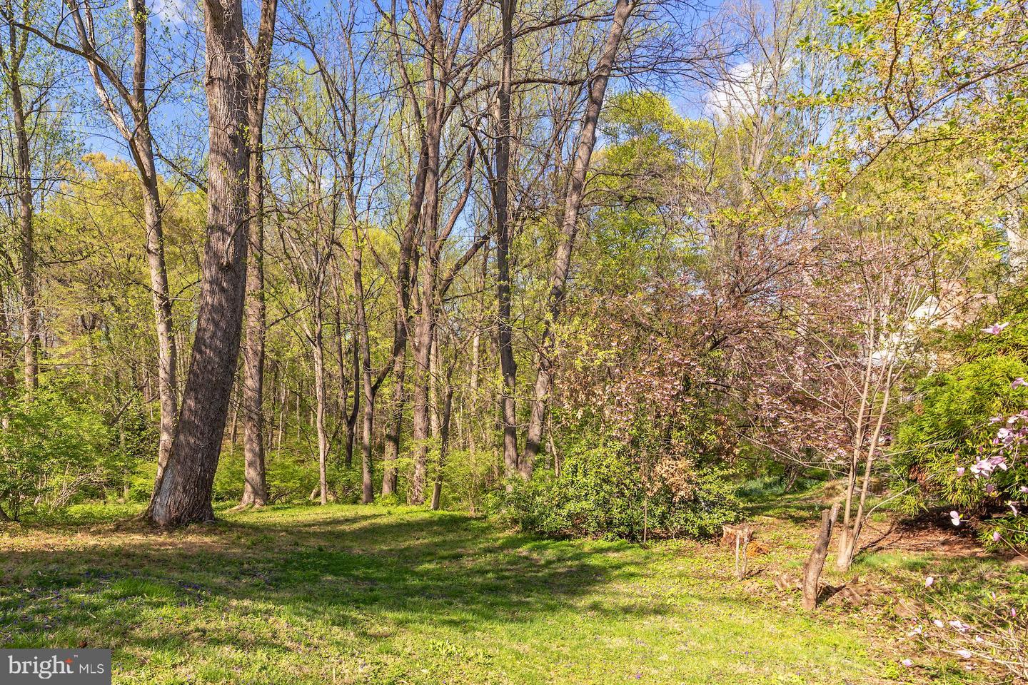 7509 Arden Rd Property Photo 5