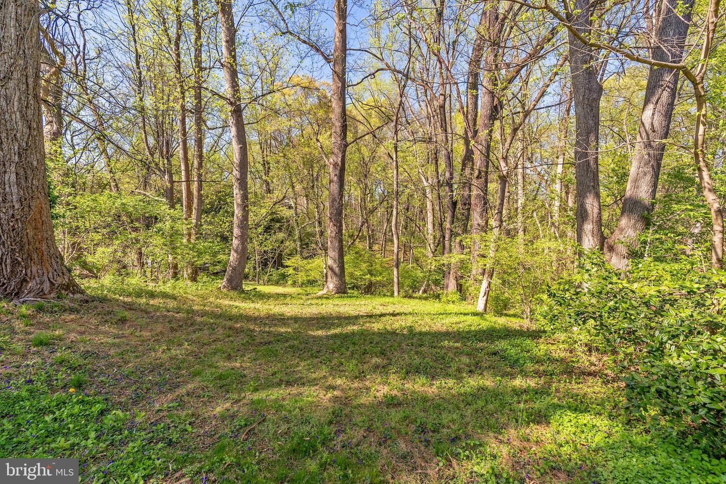 7509 Arden Rd Property Photo 7