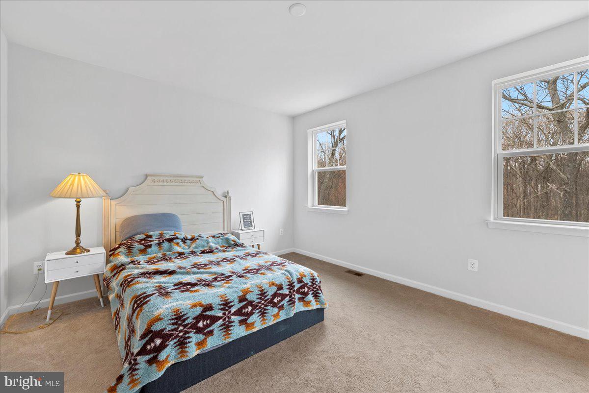 13254 Dowdens Ridge Dr Property Photo 12