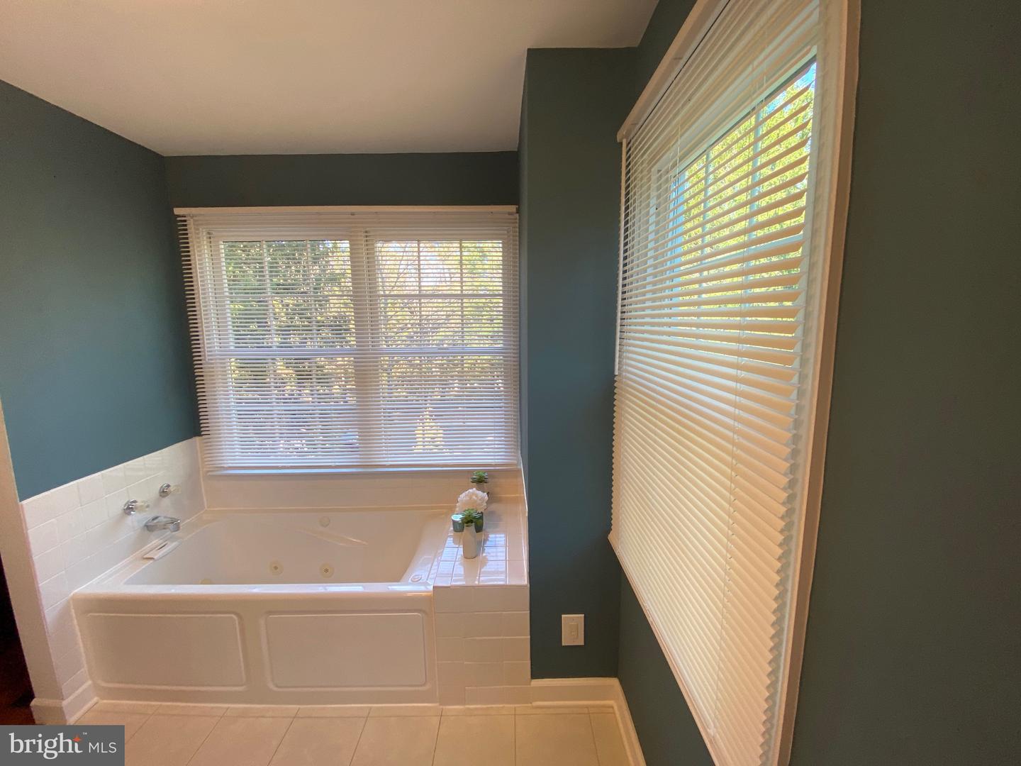 20419 Ivybridge Ct Property Photo 31