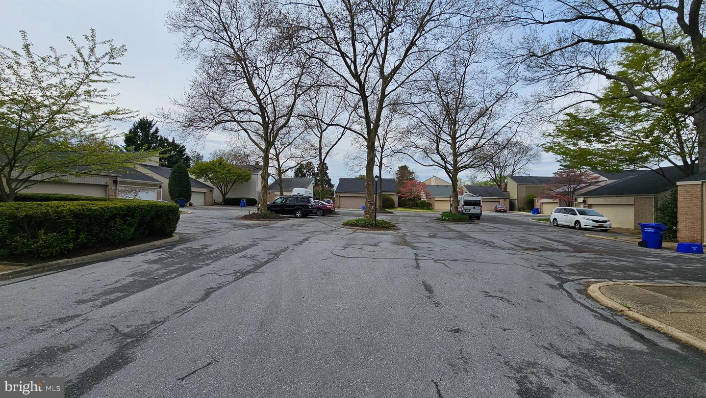 19117 Brooke Grove Ct Property Photo 41
